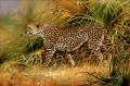 leopardo 9